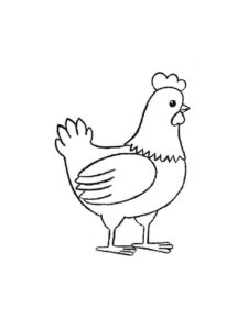 Chicken coloring page