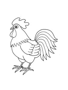 Chicken coloring page