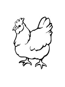 Chicken coloring page