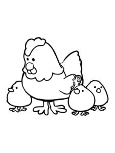 Chicken coloring page