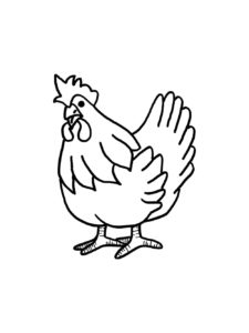 Chicken coloring page