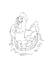 Chicken coloring page