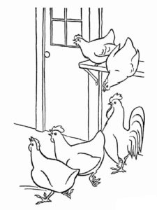 Chicken coloring page