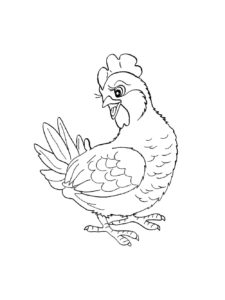 Chicken coloring page