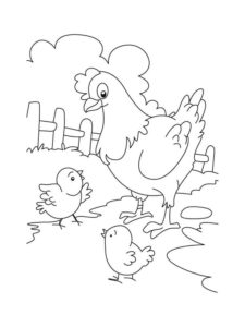 Chicken coloring page