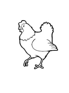 Chicken coloring page