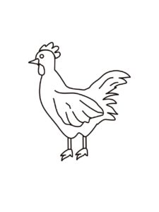 Chicken coloring page