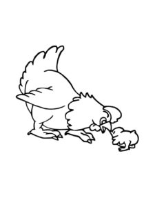 Chicken coloring page