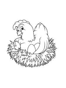 Chicken coloring page