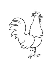 Chicken coloring page