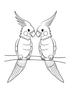 Two Cockatoo coloring page