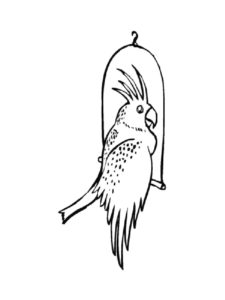 Cockatoo coloring page