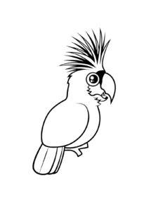 Cockatoo coloring page