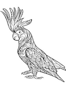 Cockatoo coloring page