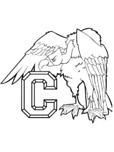 Condor coloring page