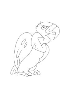 Condor coloring page