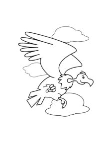 Condor coloring page