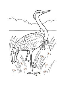 Crane coloring page