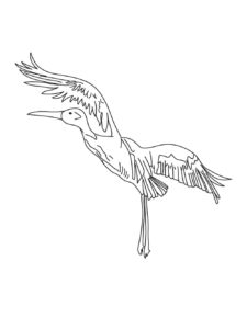 Crane coloring page