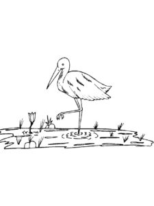 Crane coloring page