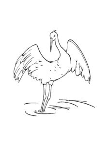 Crane coloring page