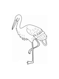 Crane coloring page