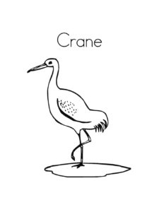 Crane coloring page