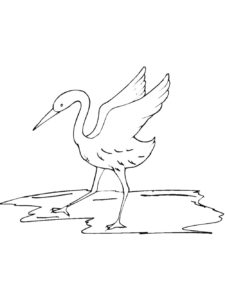 Crane coloring page