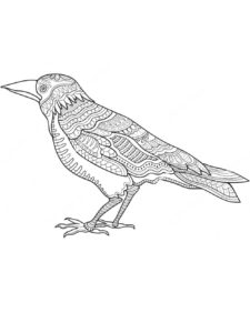 Crow coloring page