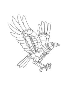 Crow coloring page