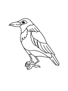 Crow coloring page