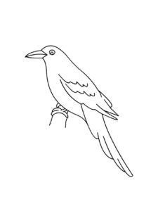 Crow coloring page