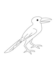 Crow coloring page