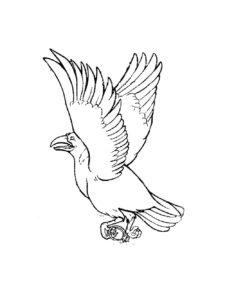 Crow coloring page