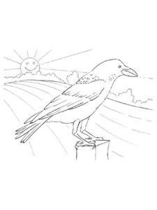 Crow coloring page