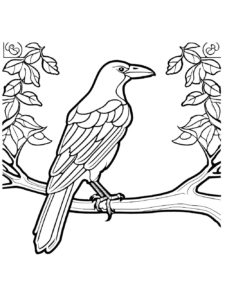 Crow coloring page