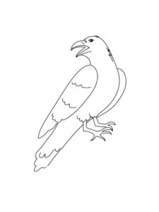 Crow coloring page