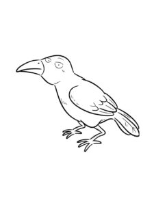 Crow coloring page