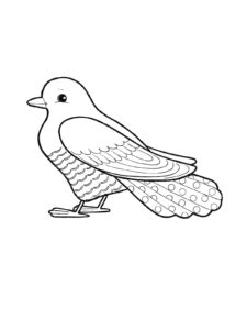 Cuckoo coloring page