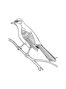 Cuckoo coloring page