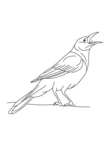 Cuckoo coloring page