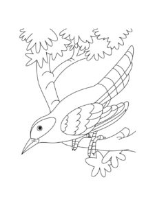 Cuckoo coloring page