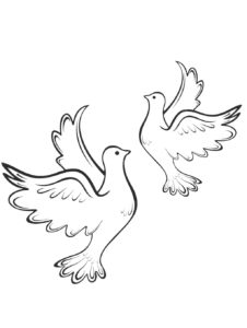 Dove coloring page