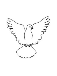 Dove coloring page