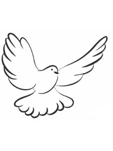 Dove coloring page