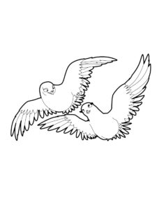 Dove coloring page