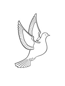 Dove coloring page