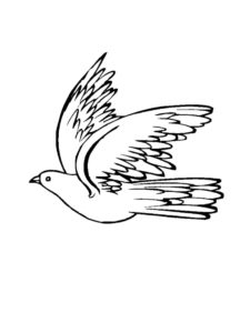 Dove coloring page