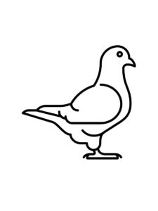 Dove coloring page