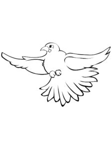 Dove coloring page